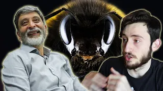 How Bees Communicate, Navigate and Fight - with expert Professor Srinivasan