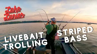 Trolling live baits for open water stripers on Lake Lanier!!