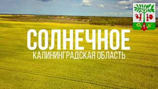 4K. Красное. Солнечное. Каштановка. Гурьевский район. Калининградская область.