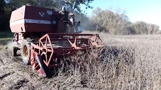 МОЛОТИМО СОЮ. ЦЕ ЖЕСТЬ! ПОЛОМАЛИ КОМБАЙН MASSEY FERGUSON 186. ВАЗ 2101 НЕ ЗМІГ ВЗЯТИ ГОРУ. ЧАСТИНА 2