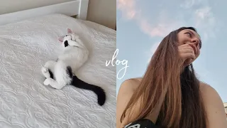 "ЙОДОВАЯ" ЛИХОРАДКА?😣🙆ВСЁ РАДИ ЛЮБИМОЙ КОШКИ🐈‍⬛🖤