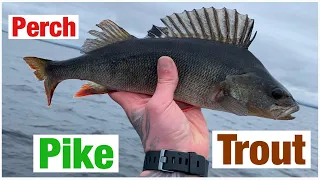 Pike-Trout-Perch Fishing 🔥 Trolling With JC minnow baits for predatory fish