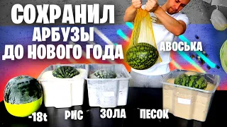 АРБУЗ на НОВЫЙ ГОД 🍉🎄😋 КАК СОХРАНИТЬ проверил 10 СПОСОБОВ