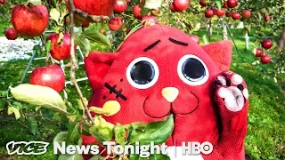 Nyango Star: The Heavy Metal Cat Mascot Saving A Japanese Farm (HBO)