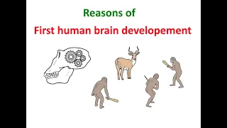 Сauses of brain development in early humans