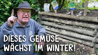 Hochbeet winterfest bepflanzen! 🥬 Rosenkohl, Knoblauch & Salat - Selbstversorgung im Winter