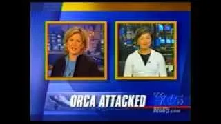 KING 5 News (NBC Seattle): "New Video of Springer the Orca Free" and "Luna the Orca Attacked"
