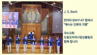 J.S.Bach BWV 147 "Jesu bleibet meine freude" Ocarina&Orgel