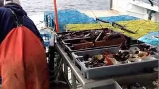 Nova Scotia lobstering