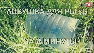 Ловушка для рыбы за 2 минуты|Traps for fish for 2 minutes