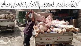 Wholesale Beef Meat Market at Super Market Liaqtabad Karachi | Beef Meat & Paaye Gosht Market