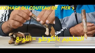 comment monter le couteau de mer  sur hameçon pour pêcher dorade التطعيم بالكوطو او اللونغ  النباخا