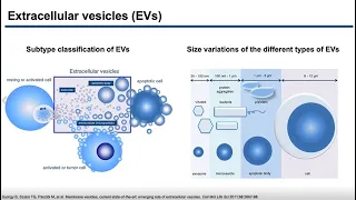 [EVCNA] Isolation and analysis methods of extracellular vesicles (EVs)