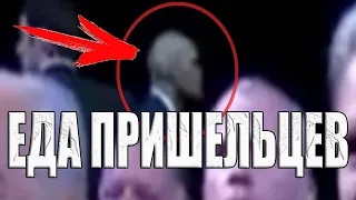 Пришельцы среди людей? Пища пришельцев. Что едят пришельцы на Земле?