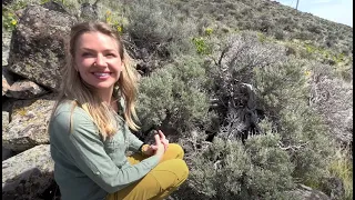 Rattlesnake Den with Adrian Slade