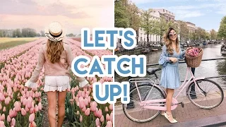 Let's Catch Up! | Amelia Liana