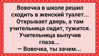 Вовочка Сходил в Женский Туалет! Сборник Свежих Анекдотов! Юмор!