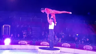 zippos circus part 2