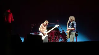 Outstanding Californication Jam ATL (Red Hot Chili Peppers)