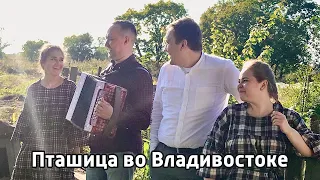 Пташица во Владивостоке, "Чернобровая девчоночка" - Иван Разумов