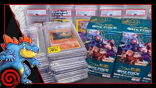 ONE PIECE OP 08 - DRAGON BALL FB02 - MORE SLABS! - LIVE CARD SHOP!!