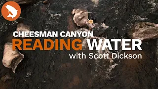 How to Fly Fish Cheesman Canyon in the Fall // READING WATER with Scott Dickson