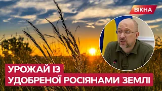 ⚡️ Шмигаль: В умовах ВІЙНИ Україна зібрала понад 12 млн тон зерна. Аграрії, готуйтеся до експорту!