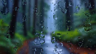 Soothing Night Rain in the Forest | Relaxing Nature Sounds for Sleep and Meditation😌🌿💦