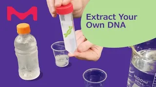 Wind Your Way Around Your Own DNA at Home STEM Experiment