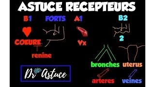 🔴 Dr Astuce -  UNE ASTUCE GÉNIALE POUR LES RECEPTEURS ADRENERGIQUES