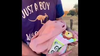 Our spirited little Orphan Robby is not letting go until she is in her beloved pouch 🧡Baby Kangaroo