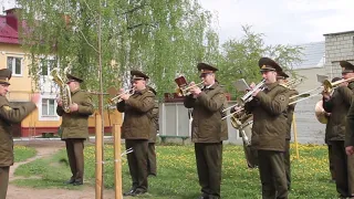 Военный оркестр поздравляет ветеранов с Днем Победы / Осиповичи