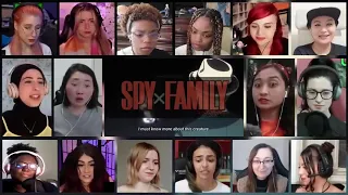 Spy X Family Episode 1 Reaction Mashup | スパイファミリー