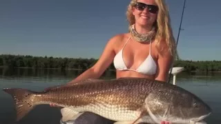 Sight fishing for big redfish on Mosquito Lagoon