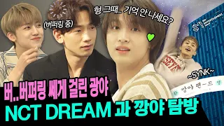 [EN/JP/ID] NCT DREAM과 오류 제대로 난 광야 아니 깡야 관광;; 어질어질어질 두통🕹 ㅣ 시즌비시즌 시즌2 EP.3