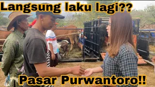 PASAR PURWANTORO!! DEK YAYA JUAL SAPI BARU TURUN DARI MOBIL LANGSUNG LAKU LAGI !!!