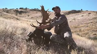 SOLO HNTR 10.10 ARCHERY FALLOW DEER in New Zealand with Remi Warren