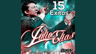 15 Exitos