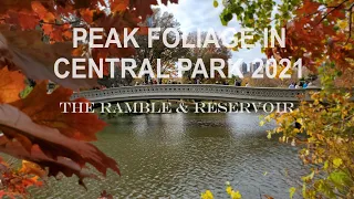 4K] Walking🍁NYC: The Best Places in Central Park to see Fall Foliage 2021. Part 2