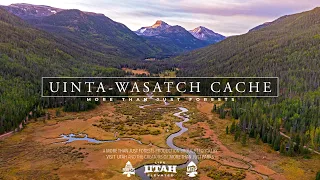 UINTA WASATCH CACHE National Forest 8K Utah (Visually Stunning 3min Tour)