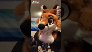 Furry TikTok compilation #35