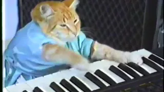 Keyboard Cat...прочитайте описание.