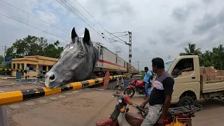 Dangerous Mad Horse Headed Trains Furious aggressive Moving Throughout Railgate