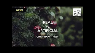 FAKE vs REAL: Most Eco-Friendly Christmas Tree | One Tree Planted