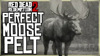 HOW TO GET A PERFECT MOOSE PELT - RED DEAD REDEMPTION 2 PRISTINE MOOSE HUNT