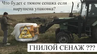 Что будет с тюком если нарушена упаковка? Плохой / Гнилой сенаж ???