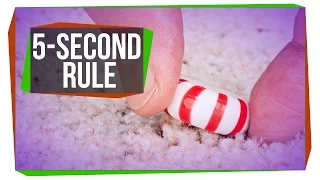 Is the Five-Second Rule Real?