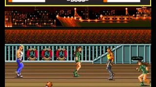 Streets of Rage Sega Genesis 2 player Netplay