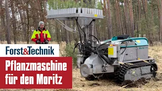 Eine Pflanzmaschine für den Moritz