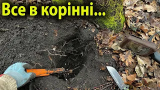 Пошук скарбів в українських лісах: Пошук з металошукачем minelab equinox 900